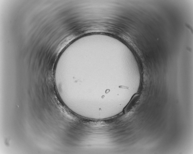 X0000101451129200808041012