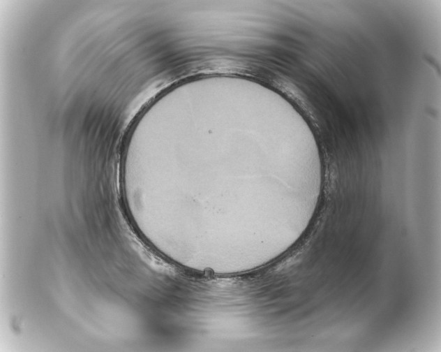 X0000101451130200808041012