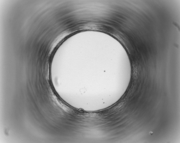 X0000101451131200808041012