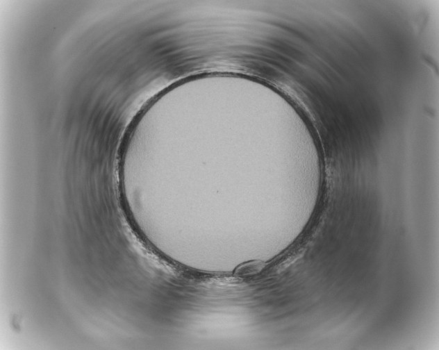 X0000101451133200808041012