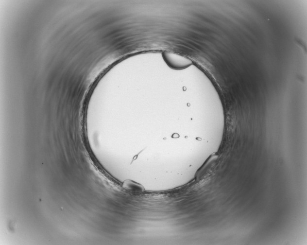 X0000101451135200808041012