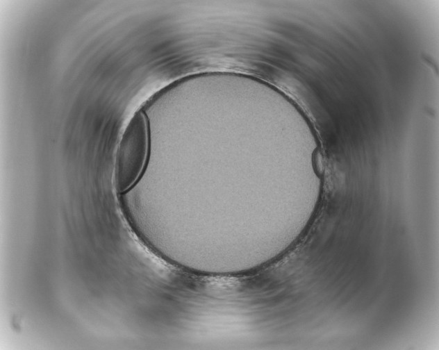 X0000101451136200808041013