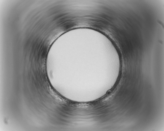 X0000101451137200808041013