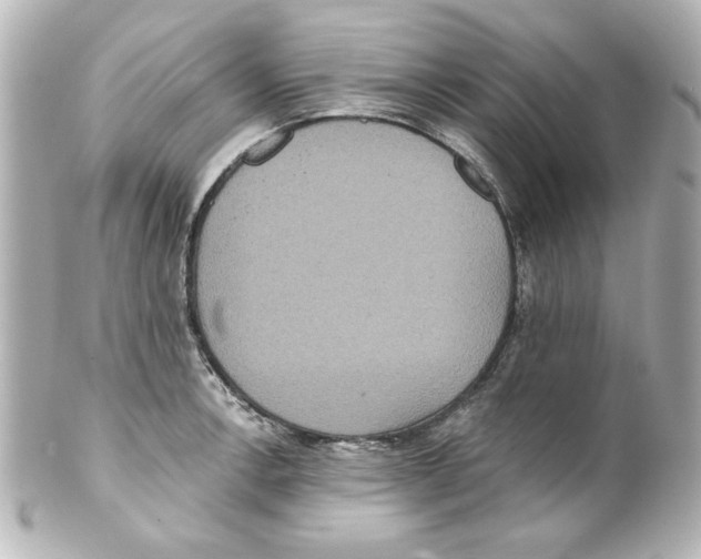 X0000101451138200808041013