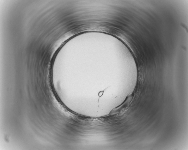 X0000101451139200808041013