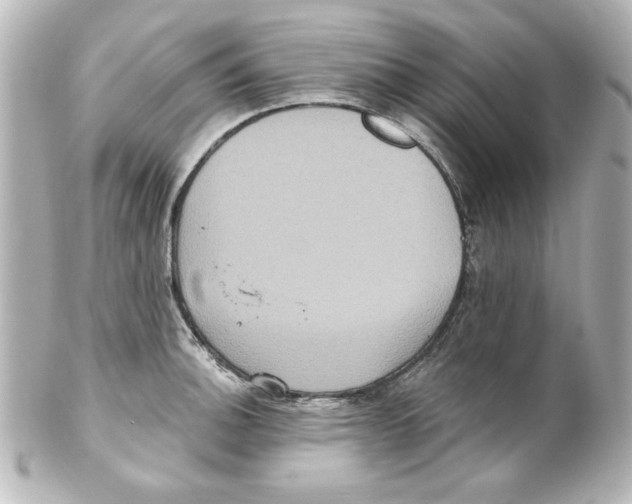 X0000101451140200808041013