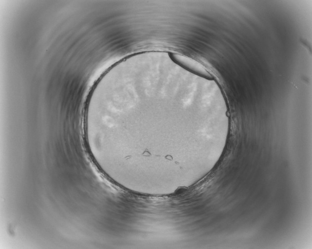 X0000101451144200808041013