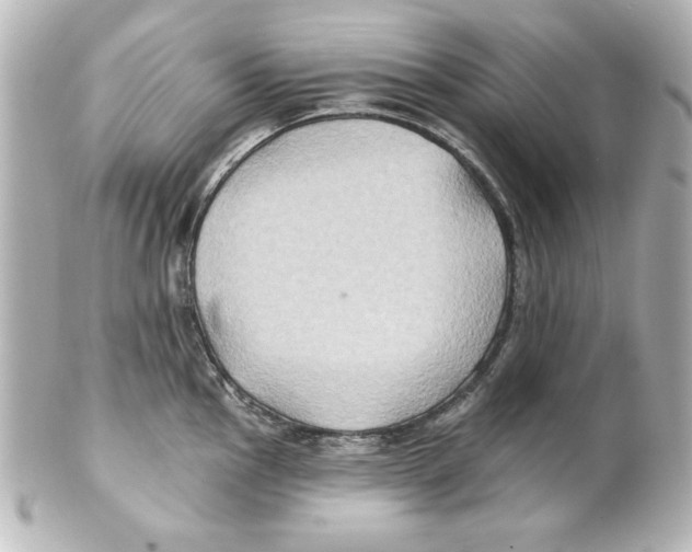 X0000101451145200808041013