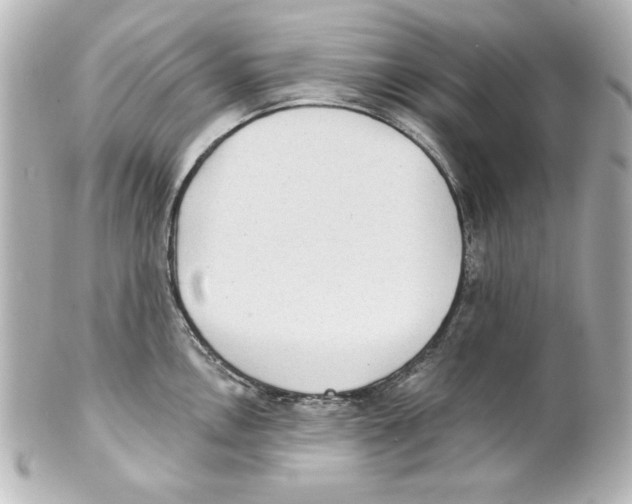 X0000101451146200808041013