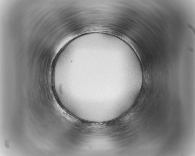 X0000101451147200808041013