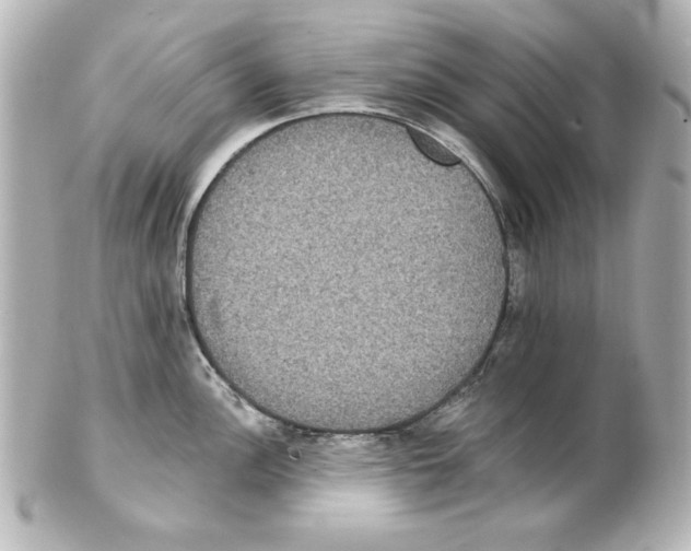 X0000101451148200808041013