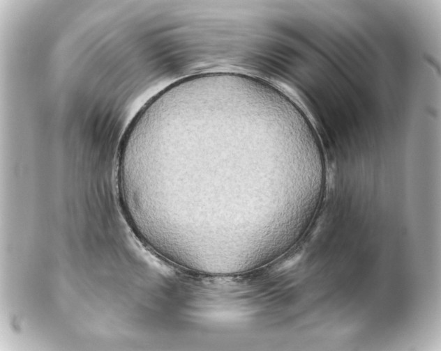 X0000101451149200808041013