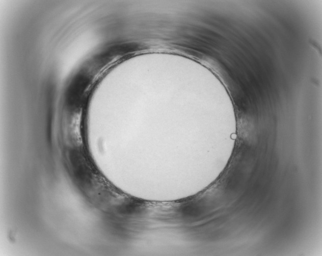 X0000101451150200808041013