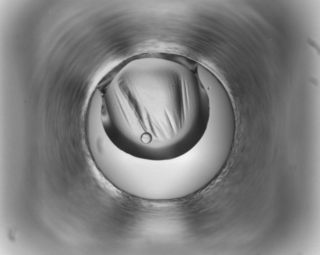 X0000101451152200808041013