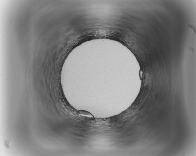 X0000101451153200808041012