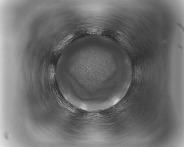 X0000101451154200808041012