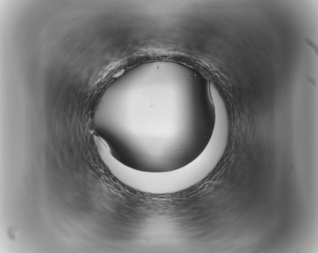 X0000101451157200808041012