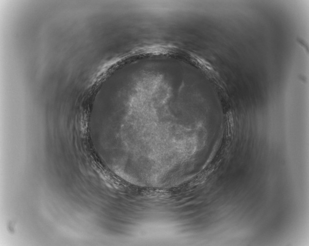 X0000101451158200808041012