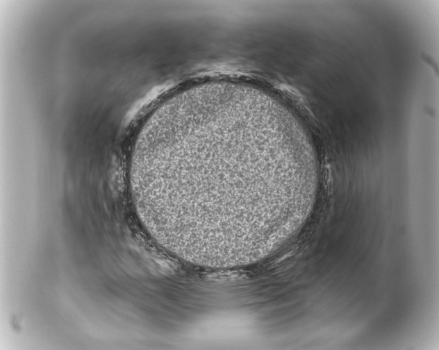 X0000101451159200808041012