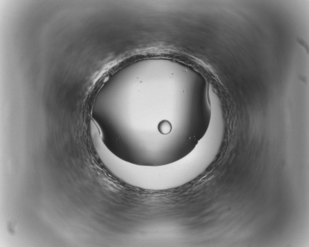 X0000101451160200808041012