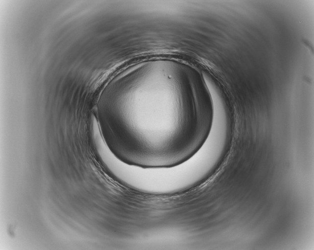 X0000101451161200808041012