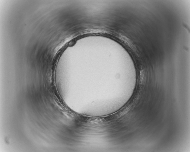 X0000101451165200808041012