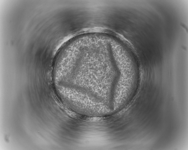 X0000101451166200808041012