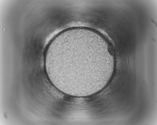 X0000101451167200808041012