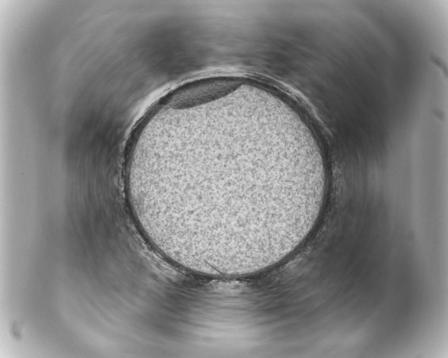 X0000101451168200808041012