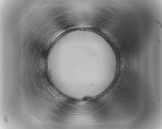 X0000101451169200808041012