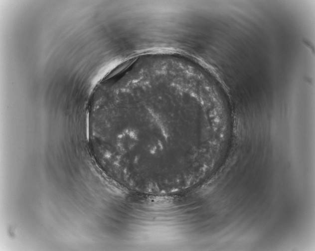 X0000101451171200808041012