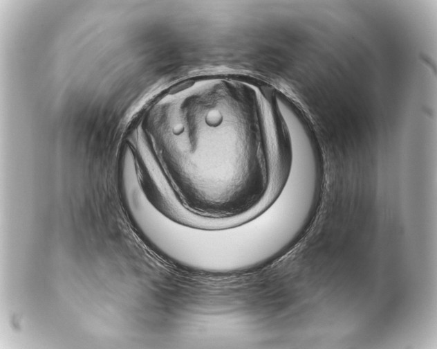 X0000101451173200808041012