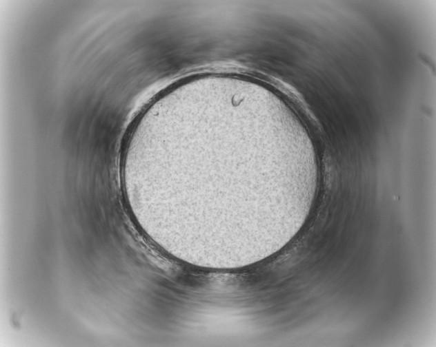 X0000101451176200808041012