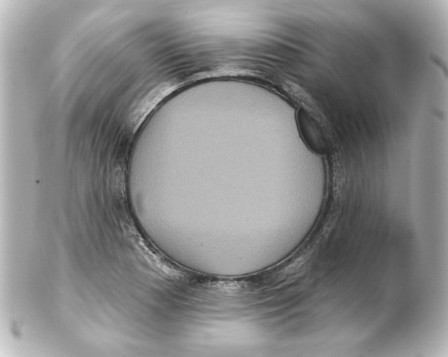 X0000101451177200808041012