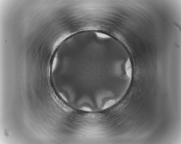 X0000101451179200808041012