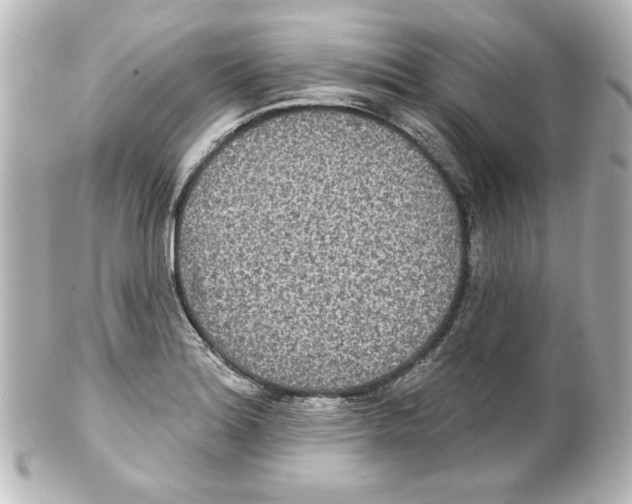 X0000101451180200808041012