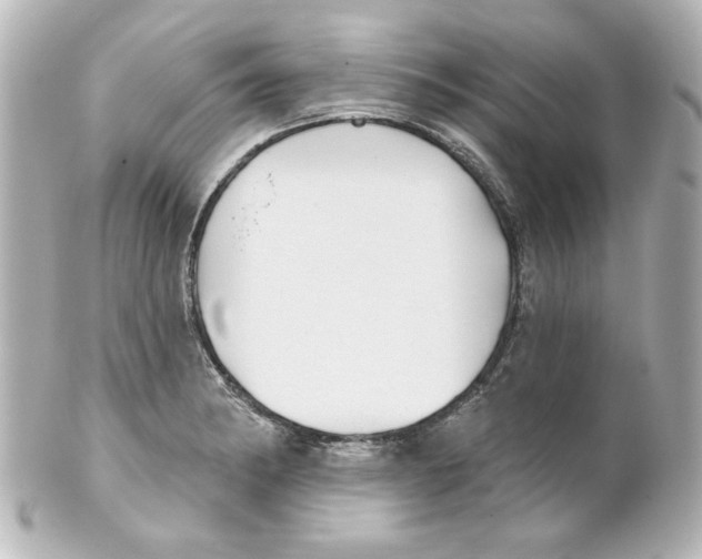 X0000101451182200808041012