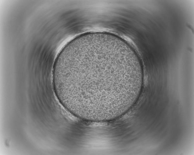 X0000101451183200808041012