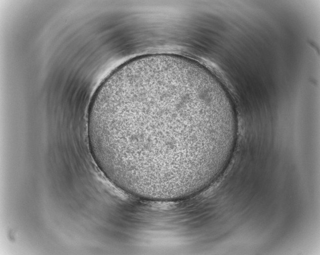 X0000101451184200808041012