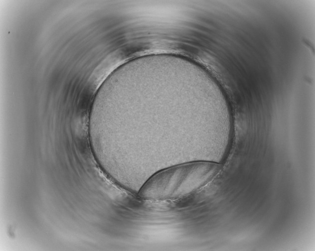 X0000101451185200808041012