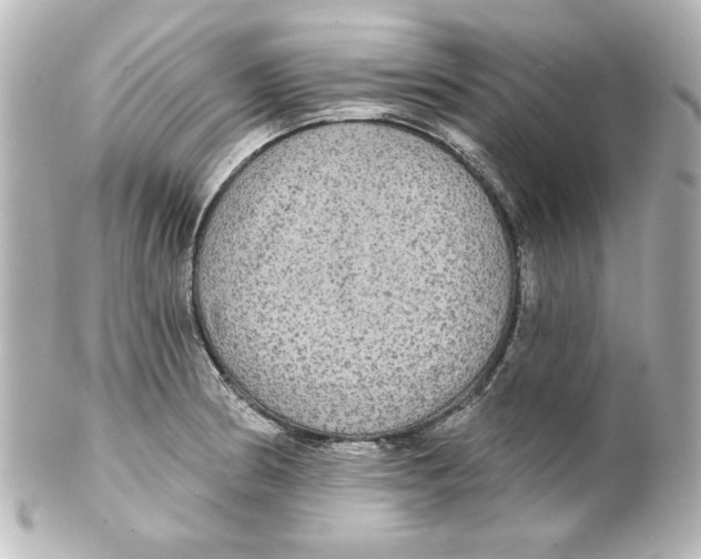 X0000101451186200808041012