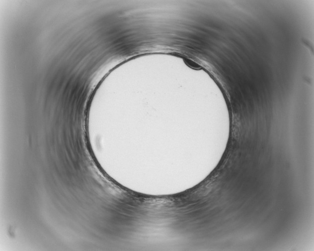 X0000101451187200808041012