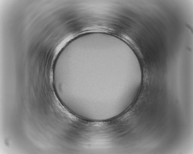 X0000101451188200808041012