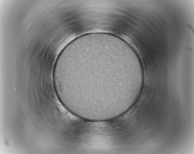 X0000101451189200808041012