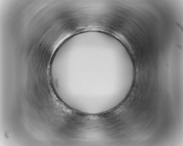 X0000101451190200808041012