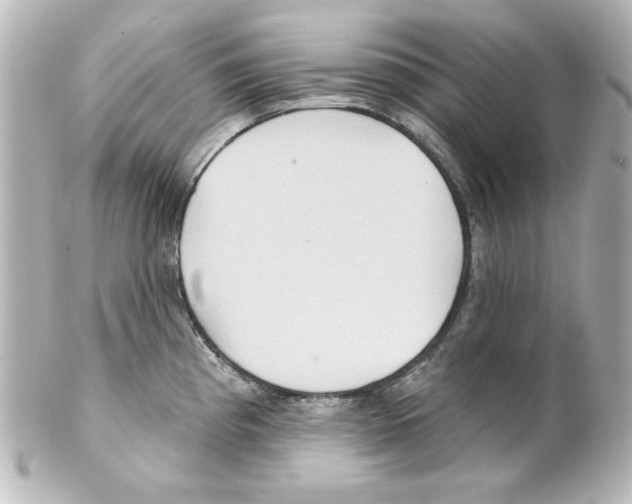 X0000101451193200808041012