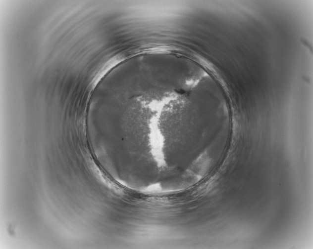 X0000101451194200808041011