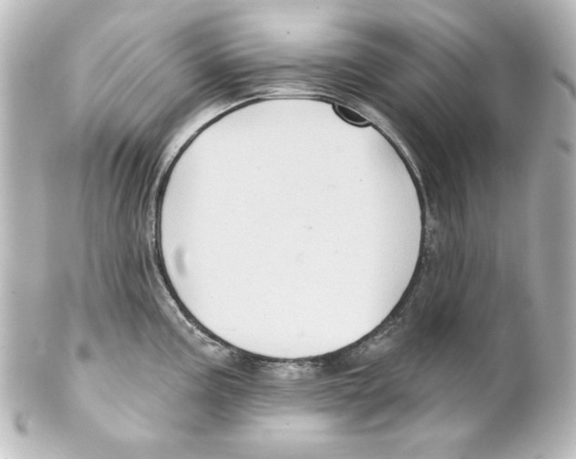 X0000101451195200808041011