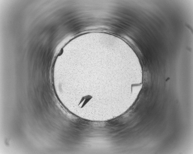 X0000101451196200808041011