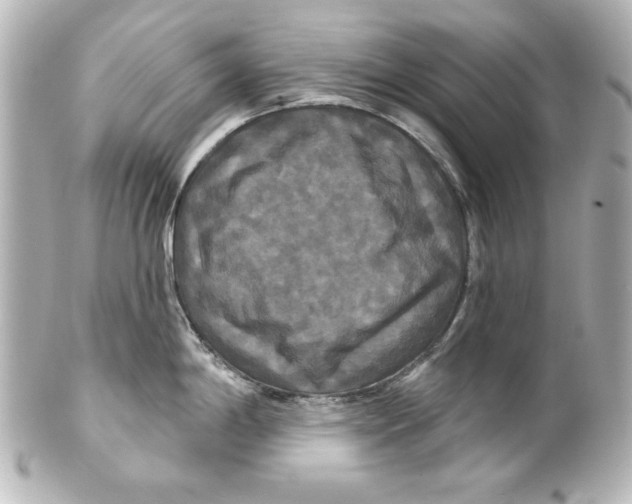 X0000101451198200808041011